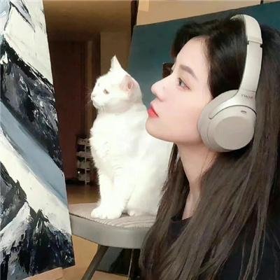 伙头智多星国语